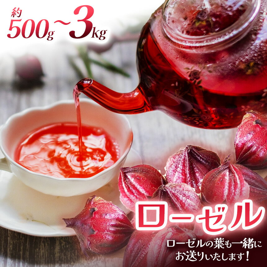 ローゼル (ローゼルの葉同梱) 500g 1kg 1.5kg 3kg[選べる内容量][11月発送][先行予約] | ローゼル ハーブティー ジャム コンポート シロップ 美容ドリンク 手摘み 農薬不使用 化学肥料不使用 送料無料 栃木県 下野市
