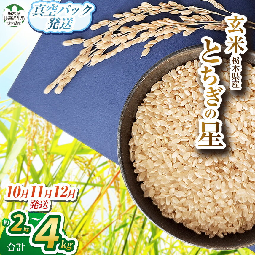 【ふるさと納税】米 お米 こめ コメ とちぎの星 玄米 | 真空パック 小分け 食べきりサイズ 栃木米 令和7年産米 令和7年米 2025年度米 ブランド米 栃...