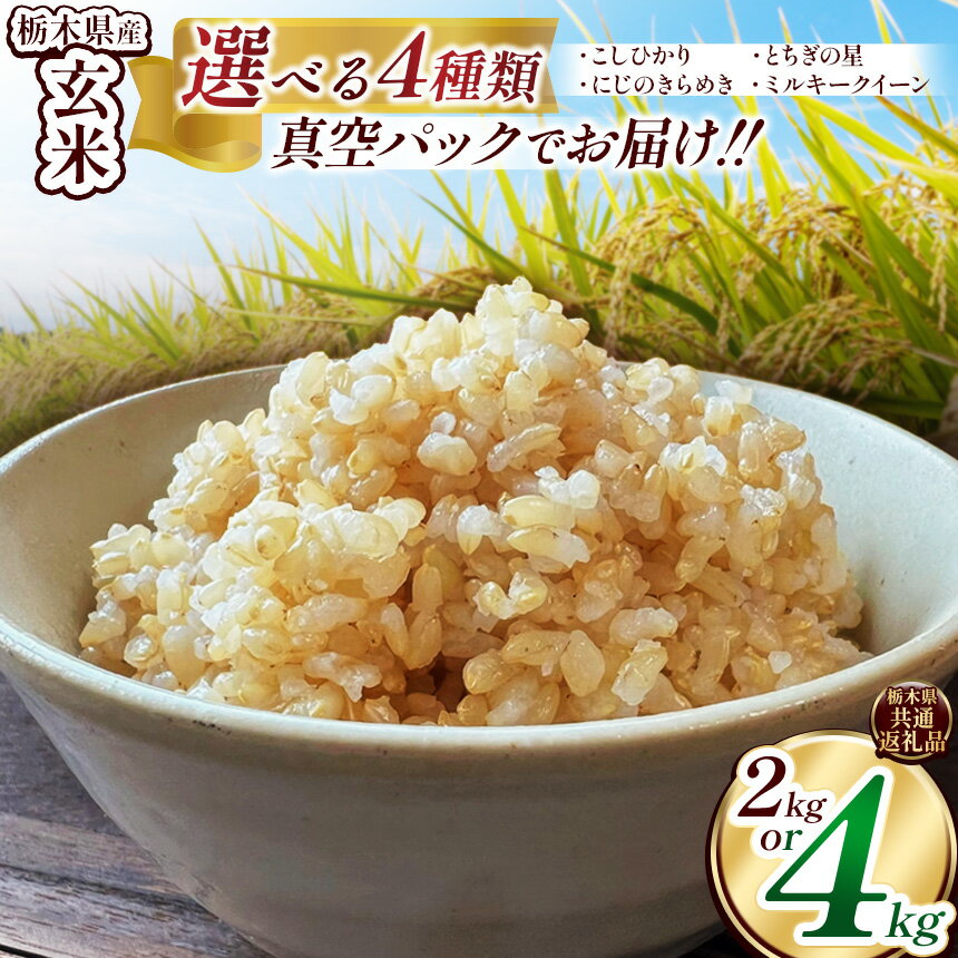 米 お米 こめ コメ 数量 限定 定期便 こしひかり コシヒカリ とちぎの星 特A にじのきらめき ミルキークイーン 人気 玄米 不揃い | 訳あり 真空パック 白米 精米 栃木米 令和7年度米 2025年度新米 ブランド米 栃木県共通返礼品 送料無料 栃木県 下野市