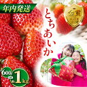 【ふるさと納税】【先行予約】【12月発送】とちあいか約600g 1kg | 送料無料 とちあいか いちご フルーツ 甘い ジューシー苺 イチゴ ハート ハート型...