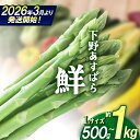 【ふるさと納税】アスパラ 下野あすぱら『鮮』 Lサイズ 500g 1kg【先行予約】 | アスパラ 極太アスパラ アスパラガス 新鮮 野菜 選べる内容量 旬野菜 春野菜 とれたて 春 人気 送料無料 栃木県 下野市