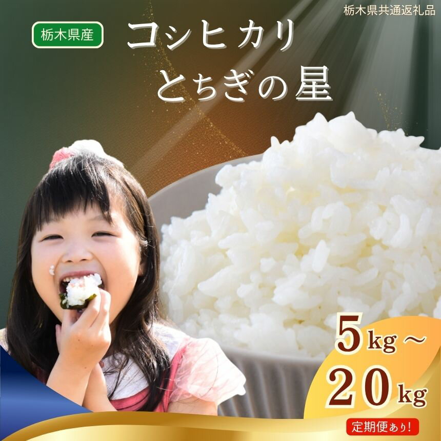 【ふるさと納税】 選べる 定期便 新米 米 お米 こめ コメ こしひかり コシヒカリ とちぎの星 1回 3回 5kg 10kg 20kg | 2025年 202...