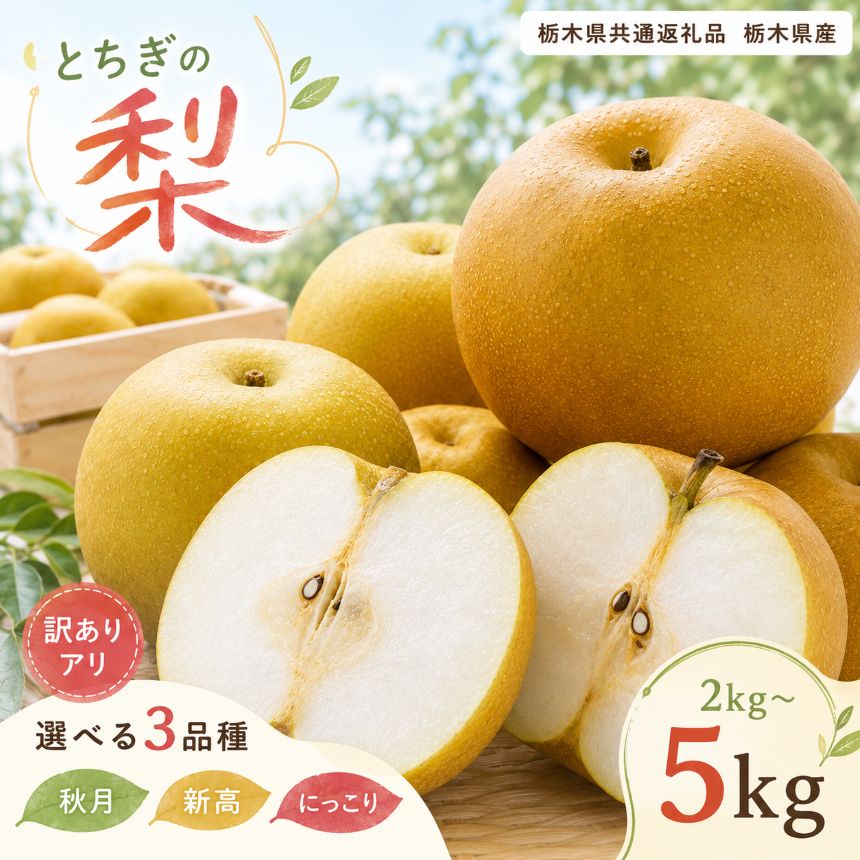 名称 選べるとちぎの梨！あきづき・新高・にっこり 内容量 あきづき 3kg or 5kg 新高 3kg or 5kg にっこり 大玉 2kg 消費期限 お早めにお召し上がりください。 注意事項 ※こちらの商品は北海道、九州、沖縄、離島にはお届けできません。 ※お手元に商品が届きましたら冷蔵庫で保管をお願い致します。 ※返礼品の特性上、発送時期が前後する場合がございます。予めご了承ください。 ※長期不在のご予定があれば事務局へご連絡ください。 尚、長期不在等によりお礼の品をお受取りできなかった場合、再発送はできません。あらかじめご了承ください。 ※商品画像はイメージです。商品画像と実際に届いた商品の色や形、大きさがが商品画像と異なる場合もございます。あらかじめご了承ください。 ※配送日の指定はできませんので、ご了承ください。 事業者 ロードランナー 地場産品基準類型と理由 8-ロ. 栃木県の共通返礼品であるため（栃木県産） ・ふるさと納税よくある質問はこちら ・寄付申込みのキャンセル、返礼品の変更・返品はできません。あらかじめご了承ください。旬のおいしさを、産地からお届け みずみずしい果汁と、品種ごとに異なる味わいが楽しめる栃木県産の梨。 「あきづき」「新高」「にっこり」 3品種からお選びいただけます。 あきづき・新高 贈答用にもおすすめの 3kg・秀品 または サイズ不揃いでたっぷり楽しめる 5kg・訳あり品 からお選びいただけます。 にっこり 食べ応えのある大玉を厳選。 約2kg・秀品2玉 でお届けします。 ※発送時期は品種により異なります。 ※天候や生育状況により、発送時期・玉数・サイズが前後する場合があります。