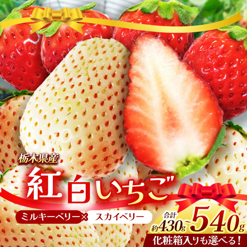 栃木県産 スカイベリー ミルキーベリー 約430〜540g | 選べる 約270g×2 12〜15粒化粧箱入 紅白 2025年度産 2026年12月より随時出荷 産地 大粒 冬 味覚 いちご 苺 イチゴ ストロベリー 大きい ジューシー 甘い あまい 甘味 人気 栃木県 下野市 送料無料