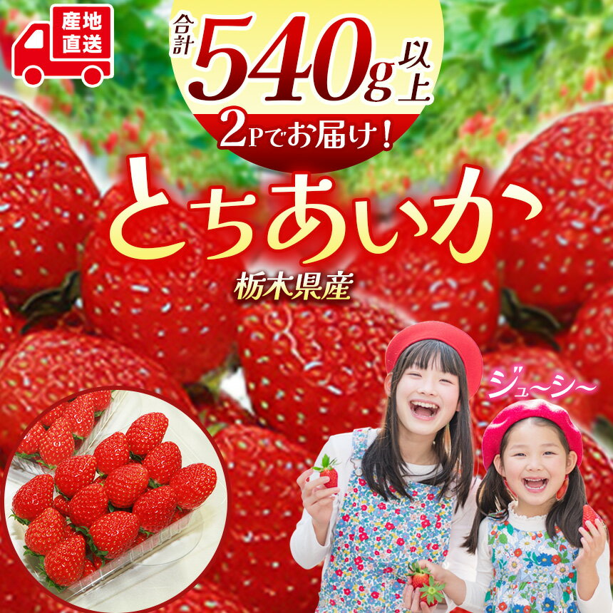 栃木県産 とちあいか 2パック | (270g-290g)×2パック 2025年度産 2026年1月より随時出荷 産地 大粒 冬 味覚 いちご 苺 イチゴ ストロベリー 大きい ジューシー 甘い あまい 甘味 人気 栃木県 下野市 送料無料
