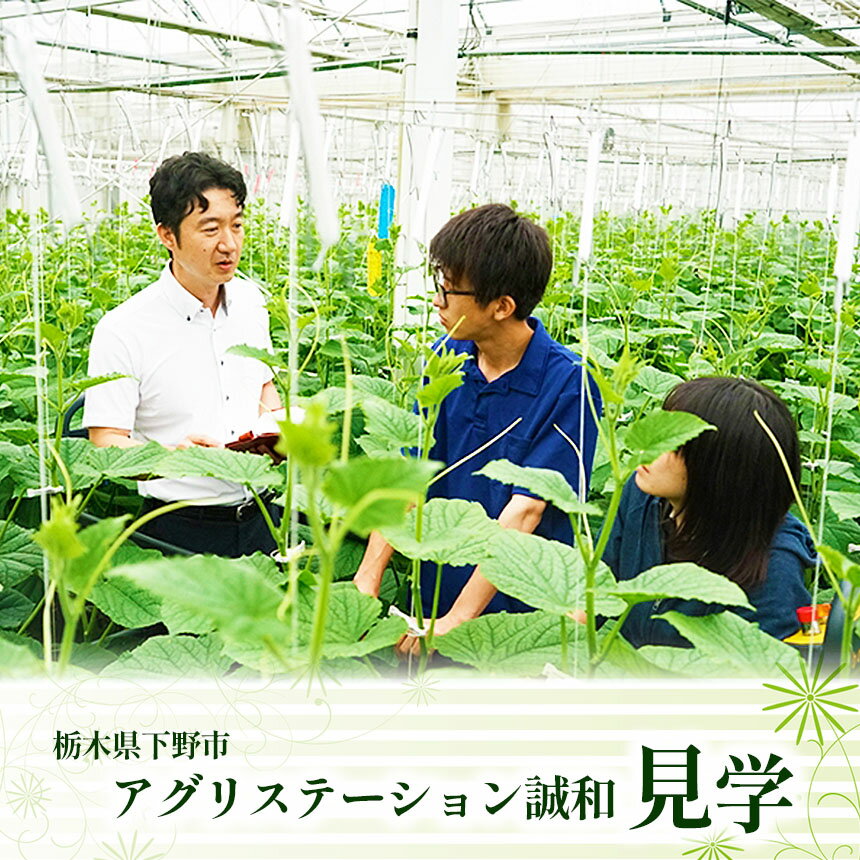 【ふるさと納税】アグリステーション 誠和 見学 (1名様分)体験 チケット| 栽培施設 園芸 最先端...の画像