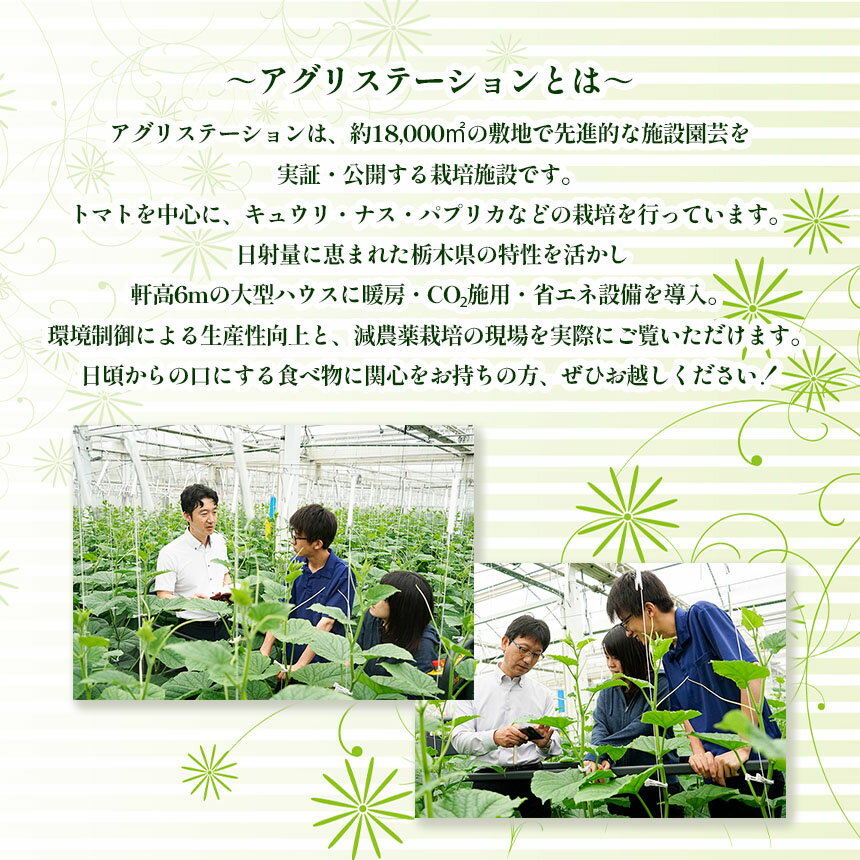 【ふるさと納税】アグリステーション 誠和 見学 （1名様分）体験 チケット｜ 栽培施設 園芸 最先端 栃木県 下野市