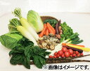 10位! 口コミ数「0件」評価「0」No.028 下野市産　季節の野菜詰め合わせ ／ 季節野菜 やさい 新鮮 詰合せ 送料無料 栃木県 特産品