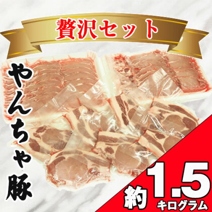 No.035 下野市　黒沢牧場　やんちゃ豚贅沢セット　約1.5kg ／ 豚肉 ポークソテー しゃぶしゃぶ ロース 送料無料 栃木県 特産品