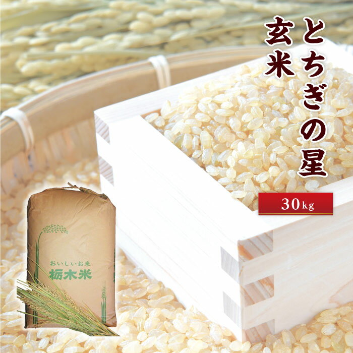 おいしさ直送「とちぎの星玄米30kg」 / お米 新品種 送料無料 栃木県