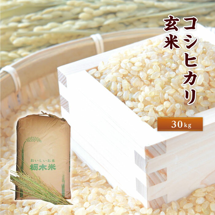 おいしさ直送「コシヒカリ玄米30kg」 / お米 こしひかり 送料無料 栃木県