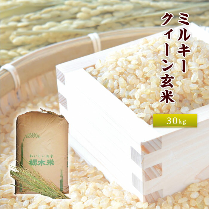 おいしさ直送「ミルキークィーン玄米30kg」 / お米 もちもち 送料無料 栃木県