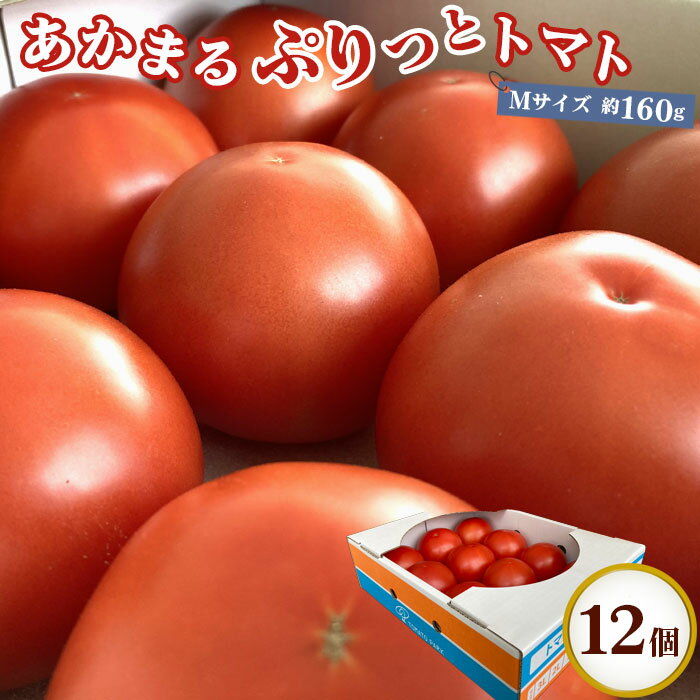 【ふるさと納税】No.218 トマト「あかまるぷりっと」12個 ／ とまと 野菜 爽やか 送料無料 栃木県 特産