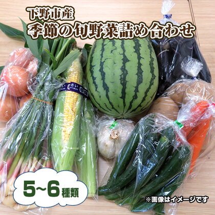 No.231 下野市産　季節の旬野菜詰め合わせ ／ やさい 詰合せ 送料無料 栃木県 特産