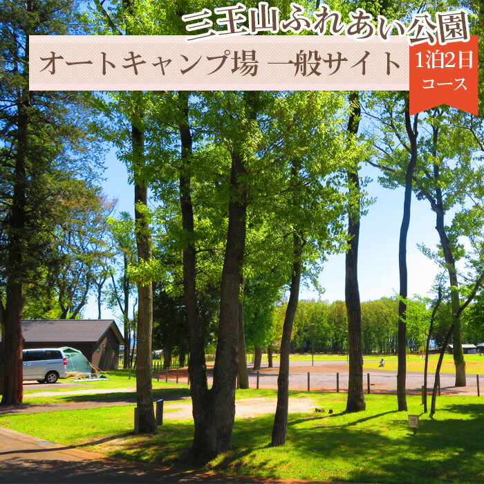 【ふるさと納税】No.241 三王山ふれあい公園「オートキャンプ場　一般サイト」1泊2日コース ／ チケット ファミリー ソロキャンプ 送料無料 栃木県