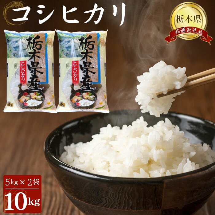 【ふるさと納税】No.245 コシヒカリ10kg（5kg×2袋）【栃木県共通返礼品・栃木県産】 ／ お米 精米 こしひかり 送料無料 栃木県