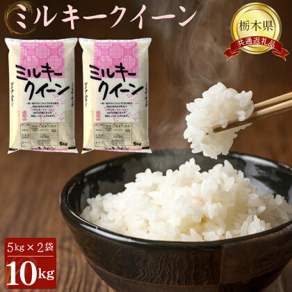 No.246 ミルキークイーン10kg（5kg×2袋）【栃木県共通返礼品・栃木県産】 ／ お米 精米 もちもと 送料無料 栃木県