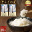 【ふるさと納税】No.247 とちぎの星10kg（5kg×2袋）【栃木県共通返礼品・栃木県産】 ／ お米 精米 大粒 送料無料 栃木県