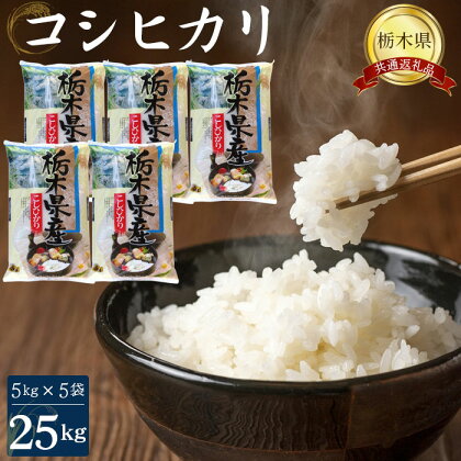 No.250 コシヒカリ25kg（5kg×5袋）【栃木県共通返礼品・栃木県産】 ／ お米 精米 こしひかり 送料無料 栃木県