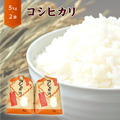 No.253 産地で精米・おいしさ直送！「コシヒカリ5kg×2袋」 ／ お米 こしひかり 送料無料 栃木県