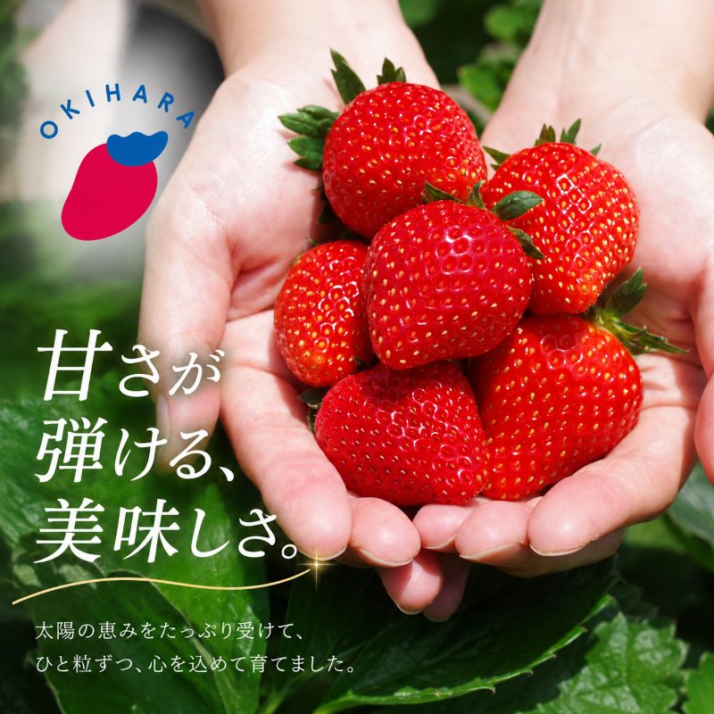 【ふるさと納税】いちご 食べ比べ 3品種 4品種 とちあいか とちおとめ スカイベリー ミルキーベリー 960g【2027年1月以降発送】先行予約｜不揃い フルーツ 果物 お取り寄せ 栃木県 下野市 送料無料 栃木県共通返礼品 矢板市産 f092169-shimotsuke-10000549 栃木県下野市 サンプル画像3