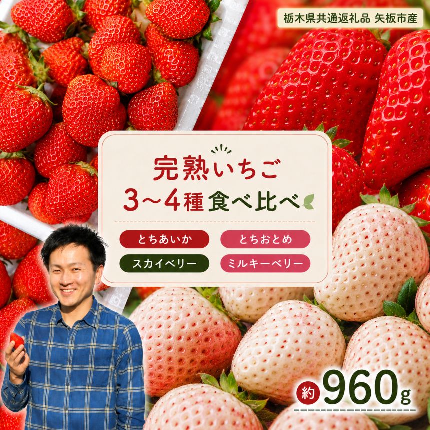 いちご 食べ比べ 3品種 4品種 とちあいか とちおとめ スカイベリー ミルキーベリー 960g【2027年1月以降発送】先行予約｜不揃い フルーツ 果物 お取り寄せ 栃木県 下野市 送料無料 栃木県共通返礼品 矢板市産