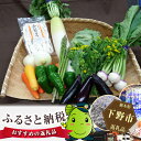 【ふるさと納税】No.002 下野市産かんぴょう&野菜の詰め...
