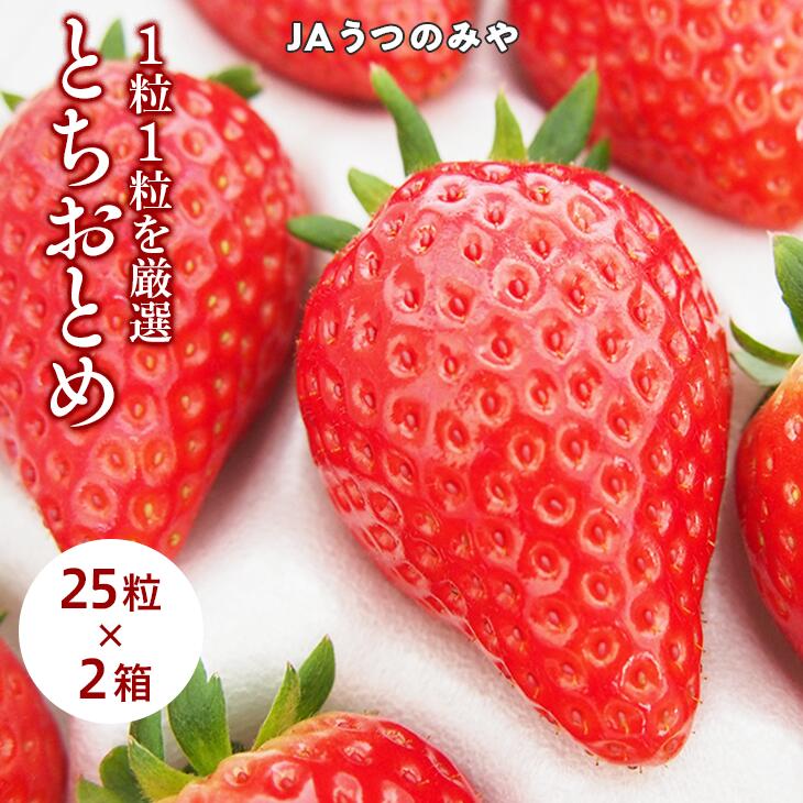 【ふるさと納税】【産地直送】JAうつのみやとちおとめ化粧箱（25粒×2箱） ※2023年3月上旬頃より順次発送予定のサムネイル