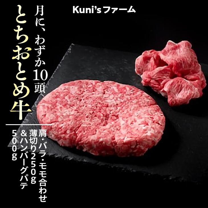 とちおとめ牛 肩・バラ・モモ合わせ薄切り250g&ハンバーグパテ500gセット 牛肉 ハンバーグ