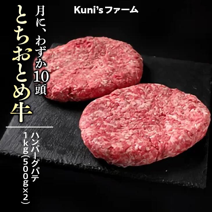 とちおとめ牛 ハンバーグパテ1kg(500g×2) 牛肉 パテ※離島への配送不可