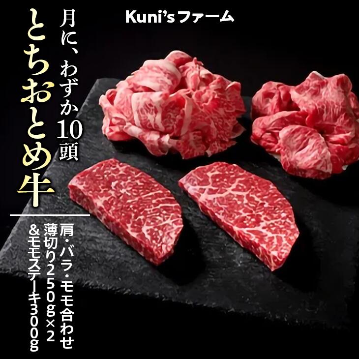 とちおとめ牛 肩・バラ・モモ合わせ薄切り250g×2&モモステーキ300gセット|牛肉 希少 炒め物 詰め合わせ