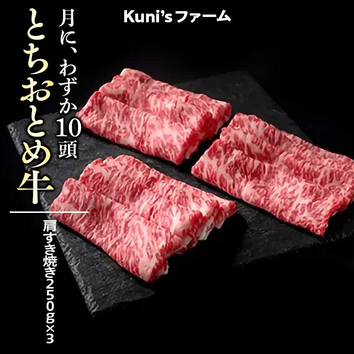 【ふるさと納税】とちおとめ牛　肩すき焼き250g×3｜牛肉 すきやき すき焼き※離島への配送不可