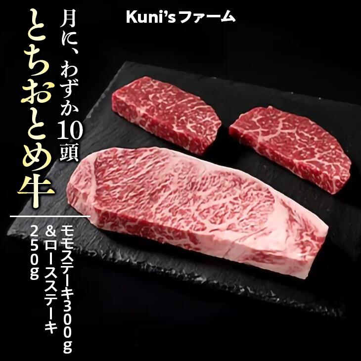 【ふるさと納税】とちおとめ牛　モモステーキ300g＆ロースステーキ250gセット｜牛肉 詰め合わせ※離島への配送不可