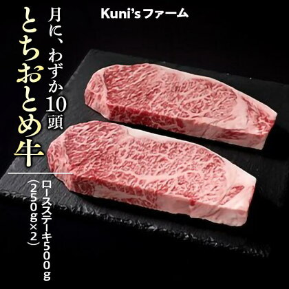 とちおとめ牛　ロースステーキ500g(250g×2) 牛肉 ステーキ