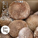 【ふるさと納税】生しいたけ 無選別1kg