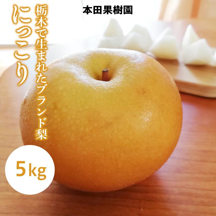 【ふるさと納税】栃木県産梨「にっこり」 梨 なし 5kg ※北海道・沖縄・離島への配送不可 ※2024年10月中旬から順次発送予定のサムネイル