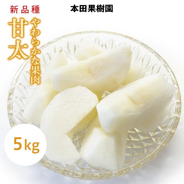 【ふるさと納税】栃木県産梨「甘太」 梨 なし 5kg ※北海道・沖縄・離島への配送不可 ※2024年9月下旬から順次発送予定のサムネイル
