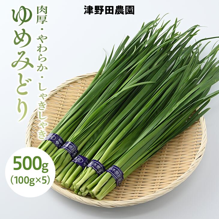 【ふるさと納税】とちぎのニラ「ゆめみどり」500g (100g×5束) にら 栃木県産 肉厚 　※2024年1月～3月頃に順次発送予定のサムネイル