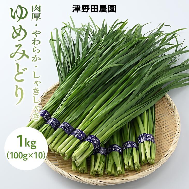【ふるさと納税】とちぎのニラ「ゆめみどり」1kg (100g×10束) にら 栃木県産 肉厚　※2024年1月～3月頃に順次発送予定のサムネイル