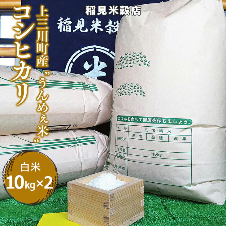 【ふるさと納税】[令和5年度産]栃木県上三川町産コシヒカリ・白米 (10kg×2袋) | 国産 栃木県産 コシヒ...