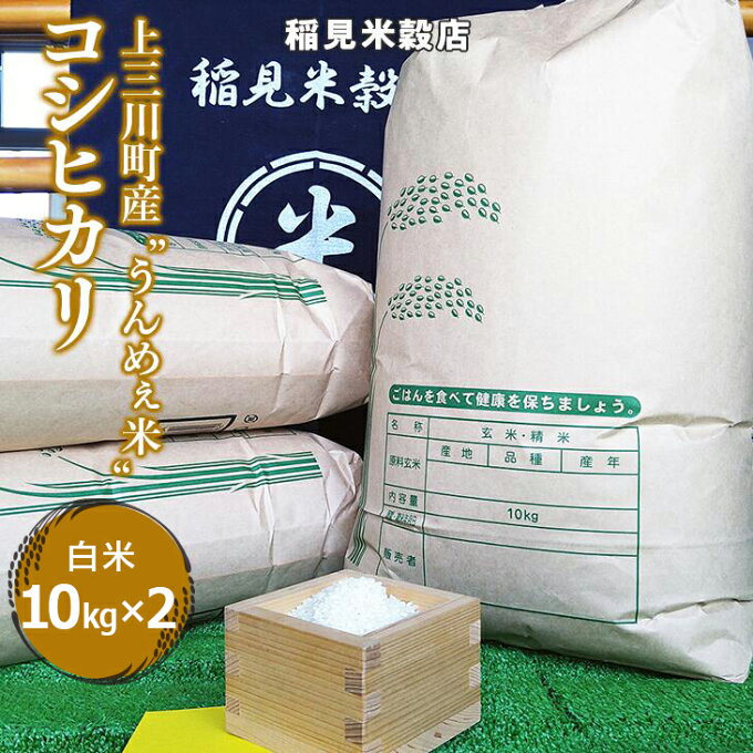 【ふるさと納税】[令和5年度産]栃木県上三川町産コシヒカリ・白米 (10kg×2袋) | 国産 栃木県産 コシヒカリ 米 お米 単一原料米 精米 白米 栃木米 とちぎ米 産地直送 送料無料