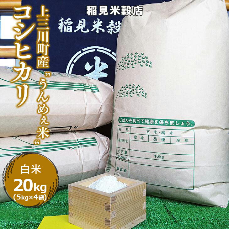 [令和5年度産] 栃木県上三川町産コシヒカリ・白米20kg（5kg×4袋）| 国産 栃木県産 コシヒカリ 米 お米 単一原料米 精米 白米 栃木米 とちぎ米 産地直送 送料無料　※離島への配送不可