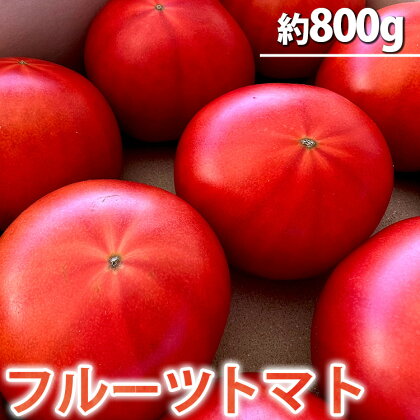 フルーツトマト　1キロ箱詰（正味800グラム程度）※2024年1月上旬～4月下旬頃に順次発送予定※着日指定不可