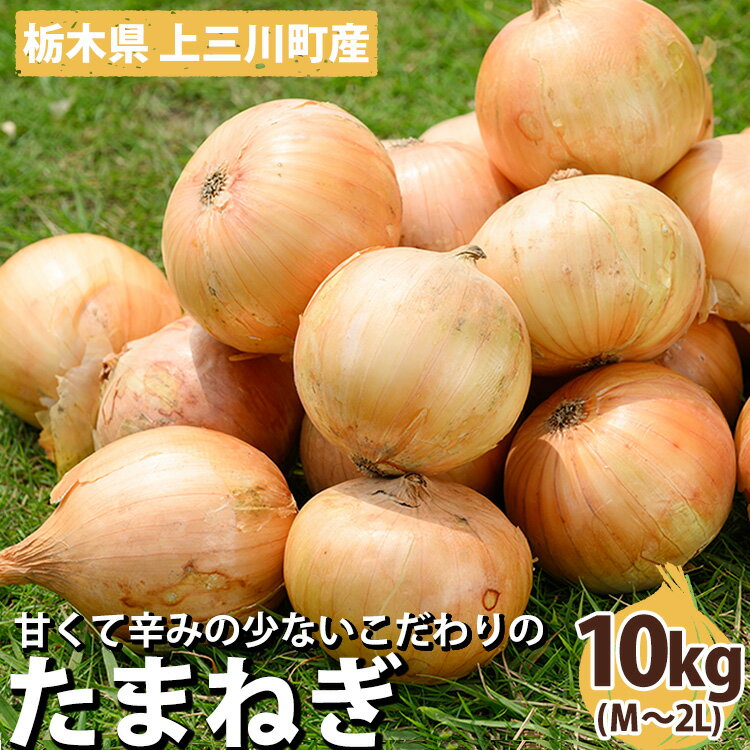 【ふるさと納税】栃木県産 たまねぎ 10kg | 玉ねぎ 玉葱 タマネギ 野菜 産地直送 カレー 肉じゃが ハンバーグ※2024年5月より順次発送予定※離島への配送不可※着日指定不可