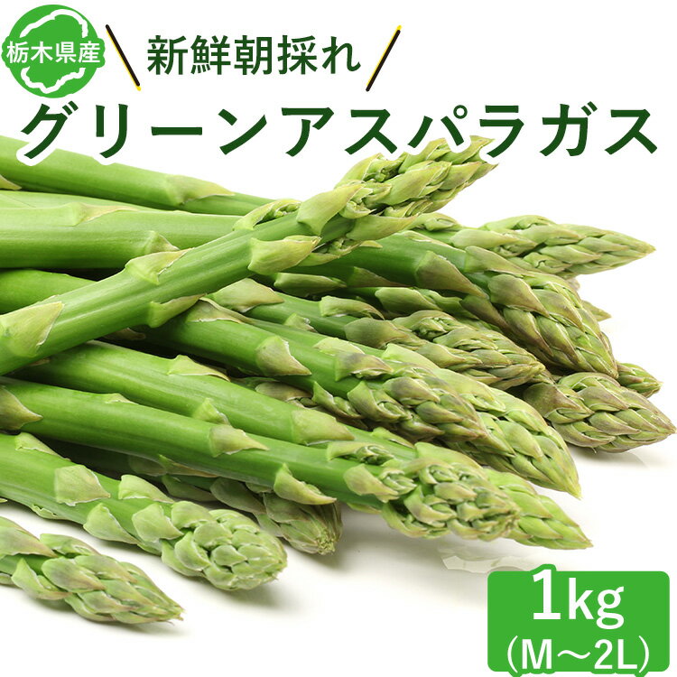 【ふるさと納税】栃木県産 グリーンアスパラガス 1kg | アスパラ 採れたて 新鮮 春野菜 旬 産地直送 2024年6月より順次発送予定 離島への配送不可 着日指定不可