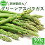 【ふるさと納税】栃木県産 グリーンアスパラガス 500g | アスパラ 採れたて 新鮮 春野菜 旬 産地直送※2024年6月より順次発送予定※離島への配送不可※着日指定不可