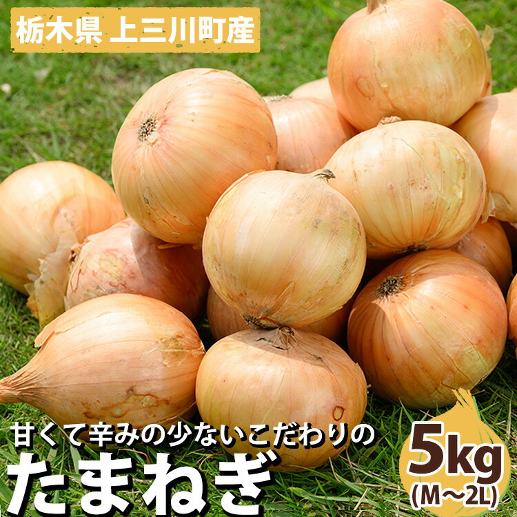 【ふるさと納税】栃木県産 たまねぎ 5kg | 玉ねぎ 玉葱 タマネギ 野菜 産地直送 カレー 肉じゃが ハンバーグ※2024年5月より順次発送予定※離島への配送不可※着日指定不可