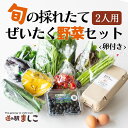 28位! 口コミ数「0件」評価「0」旬の採れたてぜいたく野菜セット　卵付き♪　2人用(AA001)