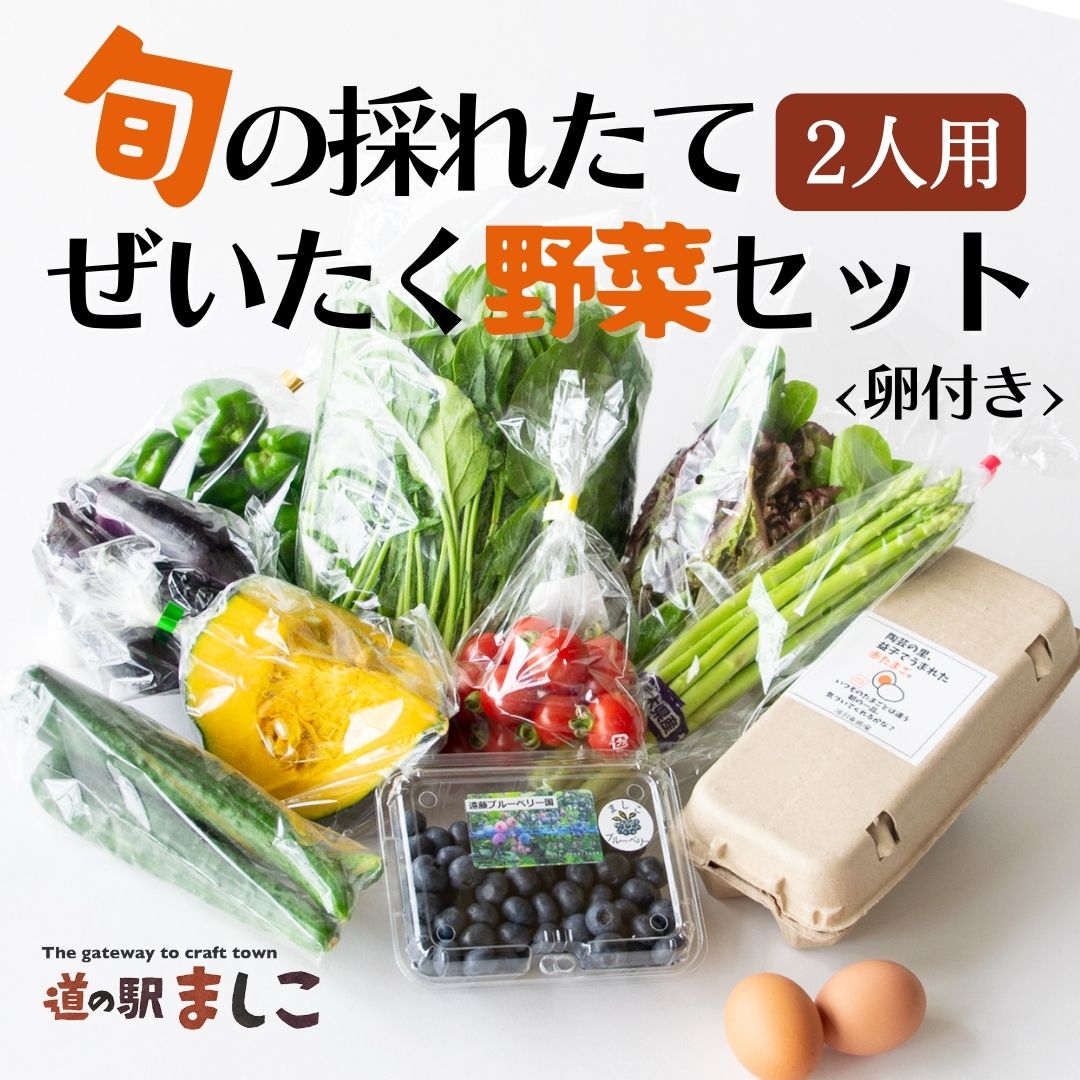 【ふるさと納税】旬の採れたてぜいたく野菜セット 卵付き♪ 2人用 益子町 ふるさと納採れたて 卵 たまご セット 採れたて(AA001)