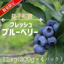 【ふるさと納税】\先行予約・数量限定/ 益子町産 フレッシュブルーベリー 1.2kg (300g×4パック) | ブルーベリー 6月上旬 順次発送 フルーツ 新...